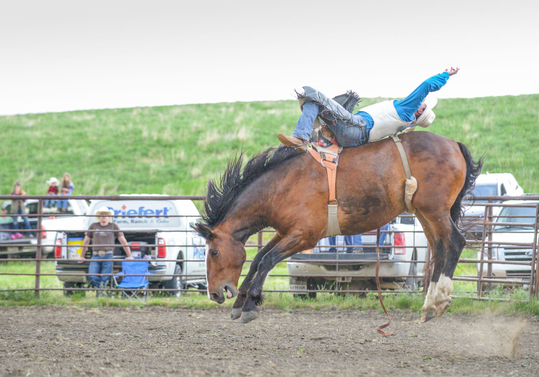 Joliet drive-in rodeo